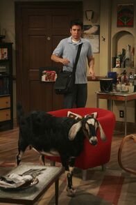 How I Met Your Mother – Tierischer Besuch: Ted (Josh Radnor) ...