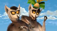 okidoki-Kinderprogramm: King Julien – Sa, 19.04., 06:00 Uhr