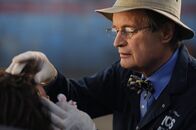 Navy CIS – L-R: Ducky (David McCallum) kümmert sich um die verletzte ...