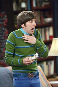 The Big Bang Theory – Simon Helberg (Howard).