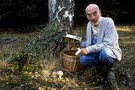 Löwenzahn Classics – Peter (Peter Lustig) findet an der Birke einige Pilze. Diese Pilze holen sich ihre Nahrung aus den Wurzeln der Birke. Aber der Pilz gibt dem Baum auch etwas, so steht es jedenfalls im Pilzbuch.