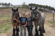 Re: – Manuela und Hubert Zimmermann mit ihren Rückepferden: Bis die Tiere in den Wald dürfen, trainiert das Ehepaar viele Jahre mit ihnen.