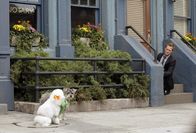 How I Met Your Mother – Um Frauen aufzureißen, schreckt Barney (Neil Patrick Harris) vor Nichts zurück ...