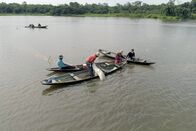 GEO Reportage: Arapaima, der Riesenfisch vom Amazonas – Fangsaison am Amazonas: auf der Jagd nach dem Riesenfisch Arapaima. Die Art hat Millionen Jahre Evolution weitgehend unverändert überdauert.