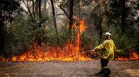 Hüter der Natur – Einsätzkräfte beim Waldbrand