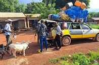 Wilde Wege – Taxis sind ein wichtiges Verkehrsmittel in Guinea. Sie transportieren fast alles.