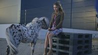 Retoure – NDR Fernsehen RETOURE Uhr. Susanne (Stefanie Stappenbeck) sucht Trost bei Pony Jazzy.