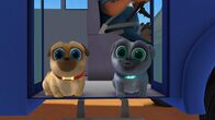 Welpen Freunde – L-R: Rolly, Bingo