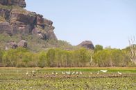 Stadt Land Kunst – Die Stadt Darwin im Norden Australiens ist von ausgedehnten Naturschutzgebieten umgeben.