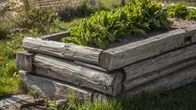 Rasch durch den Garten – Rasch durch den Garten (2021)