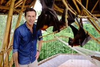 Terra X: Sternstunden der Evolution – Sa, 04.10., 11:55 Uhr