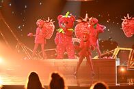 The Masked Singer – Erdbär