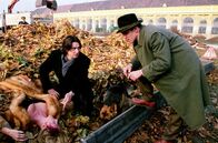Kommissar Rex – Kommissar Richie Moser (Tobias Moretti, mi.) und Kriminalassistent Stockinger (Karl Markovics, re.) finden die ermordete Ines Wieland (Ingrid Köstler) in einem Laubhaufen.