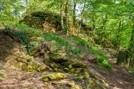 Lebensraum Pfälzerwald – Lebensraum Pfälzerwald (2013)
