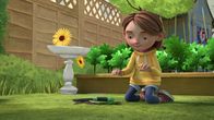 Paddingtons Abenteuer – Judy Brown
