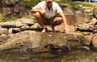 Zeb Hogans Monsterfische – Bloß groß zu sein reicht nicht _ damit ein Fisch die Aufmerksamkeit von Zeb Hogan weckt, muss er schon zu den größten auf dem Planeten zählen! So wie der Nilbarsch, mit maximal zwei Metern Länge der größte Süßwasserfisch des afrikanischen Kontinents. Der geschuppte Riese konkurriert in seinem Lebensraum mit anderen meterlangen Raubtieren wie Krokodilen und Welsen. Und mittendrin: Zeb Hogan, der wagemutig auf Tauchstation geht, um das Jagdverhalten der Nilbarsche aus nächster Nähe zu studieren...
