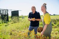 Lecker an Bord – Björn Freitag (l) besucht das Geschwisterpaar Pytsje (r) und Sjoerd van der Hem und ihren "Garten der Zukunft" in Jorwert. Die Selbstversorger bewirtschaften das Land rund um ihr Elternhaus nach den Prinzipien der Permakultur. Beim Obst- und Gemüseanbau und bei der Schafhaltung versuchen sie eine natürliche Balance zu finden und möglichst viel aus ihren eigenen Produkten zu verwerten.; WDR Fernsehen LECKER AN BORD, Folge 6 "Finale in Friesland" Uhr. Björn Freitag (l) besucht das Geschwisterpaar Pytsje (r) und Sjoerd van der Hem und ihren "Garten der Zukunft" in Jorwert. Die Selbstversorger bewirtschaften das Land rund um ihr Elternhaus nach den Prinzipien der Permakultur. Beim Obst- und Gemüseanbau und bei der Schafhaltung versuchen sie eine natürliche Balance zu finden und möglichst viel aus ihren eigenen Produkten zu verwerten.