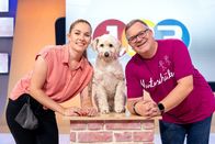 1, 2 oder 3 – Hundetrainerin Conny Sporrer zeigt Elton, wie man mit einfachen Signalen Hunde trainieren kann.