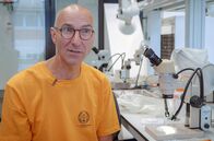 Evolution im Großstadtdschungel – Evolutionsbiologe Menno Schilthuizen erforscht Anpassungen der Natur an die Stadt.
