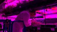 Ganz Ohr – Esther beim Besuch einer Vertical Farm.