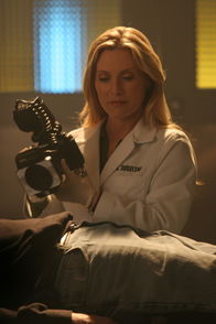 CSI: Miami – CSI: Miami (2006)