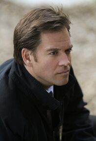 Navy CIS – Versucht, den Hafenmörder zur Strecke zu bringen: Tony (Michael Weatherly) ...