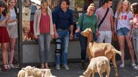 Der Lehrer – Karin (Jessica Ginkel) ist verwirrt. Was machen denn die Schafe hier?! Vollmer (Hendrik Duryn) war's nicht, aber vielleicht weiß Schülersprecherin Cleo (Runa Greiner) mehr?
