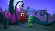 PJ Masks - Pyjamahelden – L-R: Gecko, Eulette