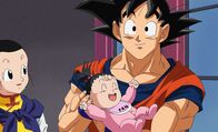 Dragon Ball Super – Di, 05.08., 17:35 Uhr