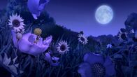 Die Biene Maja – "Die Biene Maja", "Die große, weite Wiesenwelt." Maja kann es nicht erwarten, wieder über die Klatschmohnwiese zu fliegen. Gleich in ihrer ersten Nacht schleicht sie sich - vom sanften Mondlicht angezogen - aus dem Bienenstock. Der ängstliche Willi muss zwar erst überredet werden, aber er geht mit. Am liebsten würde er ja die Augen schließen und schlafen. Maja hingegen kann sich an den Farben der Nacht kaum sattsehen. Ihr Wunsch auf der Wiese zu leben, wird immer stärker. Selbst ein großer, hungriger Frosch, kann sie davon nicht mehr abbringen. Im Bienenstock herrscht jedoch größte Aufregung: Es geht das Gerücht um, dass Maja und Willi von dem Frosch verspeist worden seien.