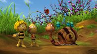 Die Biene Maja – Eine getigerte Schnecke hat die Wiese noch nicht gesehen.