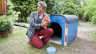 Löwenzahn – Fritz Fuchs (Guido Hammesfahr) vermisst etwas. Aber was bloß? Hat hier mal ein Hund gelebt? Nach seinem Unfall spielt ihm sein Gehirn einen Streich.