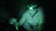 Expedition Unknown - Mythen auf der Spur – Expedition Unknown - Mythen auf der Spur (2020)