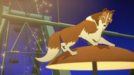 Lassie – Lassie ist auf eine Gondel des sich drehenden Riesenrads gesprungen, um Penny beizustehen.