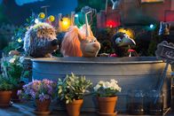 Rudis Rasselbande – Wer will in der Halloween-Nacht Buffo (Ulli Voland), Rudi (Lennart Morgenstern) und Ella (Anna Menzel) erschrecken und verjagen?