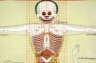 GEO Reportage – Historische Darstellung im Lehrbuch für tibetische Medizin