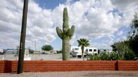 Universum: Extrem! – Trailerpark in Quartzsite, USA.