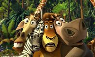 Madagascar – L-R: Melman, Marty, Alex und Gloria