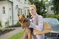 Arme Millionäre – Für Adina (Andrea Sawatzki) ist der Gedanke unerträglich, dass ihr Enkelkind in Armut aufwachsen könnte. Daher startet sie erneut einen nicht ganz legalen Weg, um an Geld zu kommen: Sie entführt die Haustiere reicher Leute und kassiert für die Wiederbeschaffung einen dicken Finderlohn.