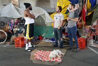 It's Always Sunny in Philadelphia – Do, 19.02., 11:55 Uhr