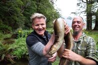 Gordon Ramsay: Kulinarische Abenteuer – New Zealand - (L to R) Gordon Ramsay and eel fisherman, Jeremy, proudly hold their latest catch.