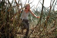 Looper – Erst spät kommt dem jüngeren Joe die Idee, wie er Sara (Emily Blunt) und ihren Sohn retten kann. Ein gnadenloser Wettlauf mit der Zeit beginnt ...