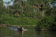 Stadt Land Kunst – Der französische Romanautor Jean Galmot setzte sich Zeit seines Lebens für den Amazonas-Regenwald und dessen Ureinwohner ein. Heute ist er in Französisch-Guayana eine Legende!