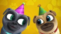 Welpen Freunde – L-R: Bingo, Rolly