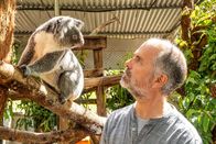 Terra X: Faszination Erde – Seit den verheerenden australischen Bränden 2019 unterstützt Christoph Maria Herbst eine Auffangstation für Koalas. Der Besuch dort ist ein emotionales Highlight seiner Expedition nach Australien.
