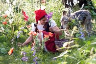 Rotkäppchen – Der Wolf schmeichelt sich beim Rotkäppchen (Kathleen Frontzek) ein.