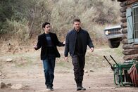 Shooter – Mi, 12.08., 02:40 Uhr