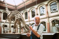 Löwenzahn Classics – Peter (Peter Lustig) entdeckt im Naturkundemuseum das Skelett eines Dinosauriers.