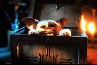 Gremlins - Kleine Monster – Das geheimnisvolle Geschenk entpuppt sich als ein süßer, Teddybär-ähnlicher Mogwais. Billy tauft das süße Geschöpf "Gizmo" ...