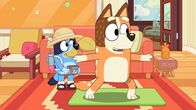 Bluey – Sa, 23.05., 17:15 Uhr
